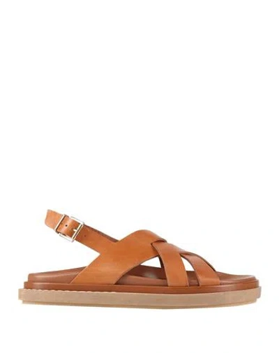 Alohas Woman Sandals Tan Size 8.5 Leather In Brown