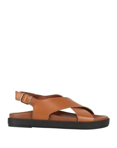 Alohas Woman Sandals Tan Size 9 Leather In Brown