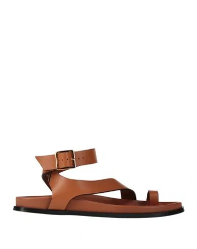 Alohas Woman Thong Sandal Tan Size 7.5 Leather In Multi