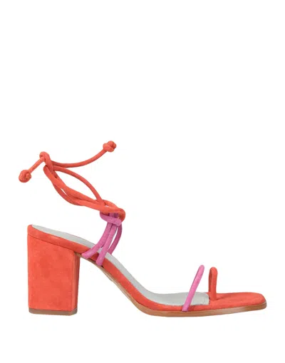 Alohas Toe Strap Sandals In Orange