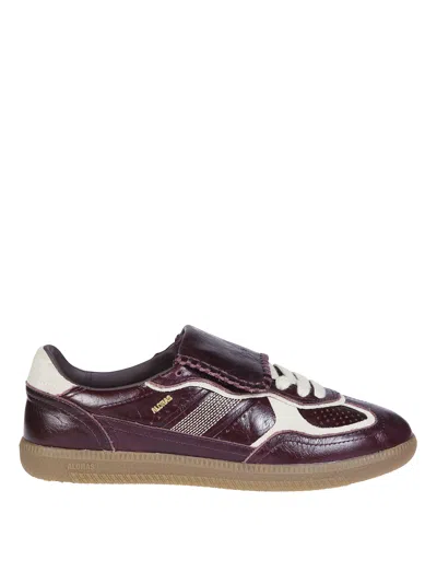 Alohas Low-profile Burgundy Leather Sneakers With Signature Logo In Brown