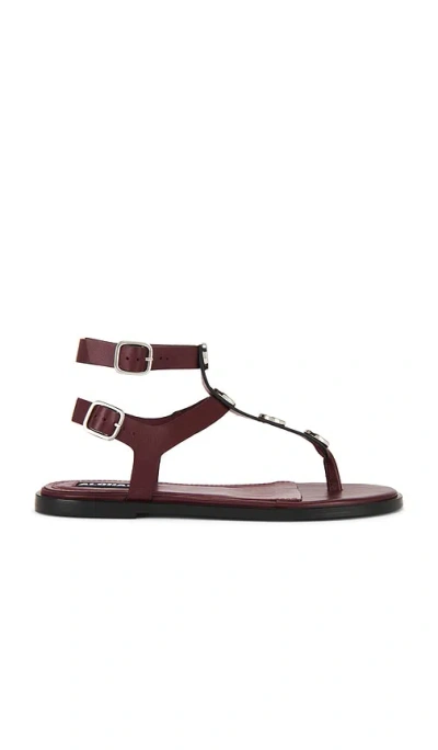 Alohas Xena Sandals In Burgundy