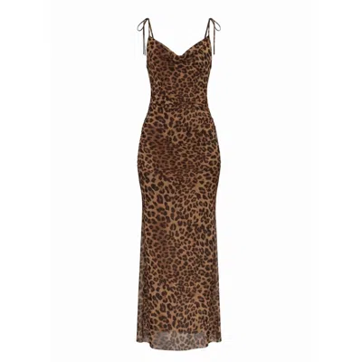 Aloma Studio Women's Brown Énigme Maxi Mesh Dress - One Size - Leopard Print In Animal Print