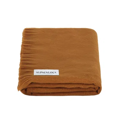 Alpaca Loca Women's Brown Scarf/shawl Camel Alpaca Wool
