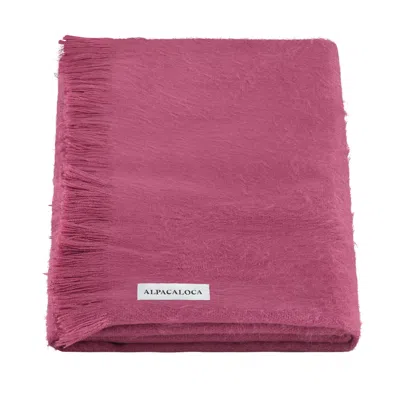 Alpaca Loca Women's Pink / Purple Scarf, Shawl Grape Purple - Alpaca Wool