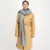 Alpaca Loca Women's Scarf Ice Blue