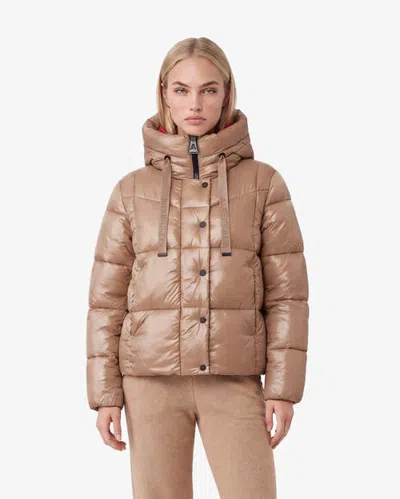 Alpenhaus Corelle Short Puffer Jacket With Webbing Detailing In Brown