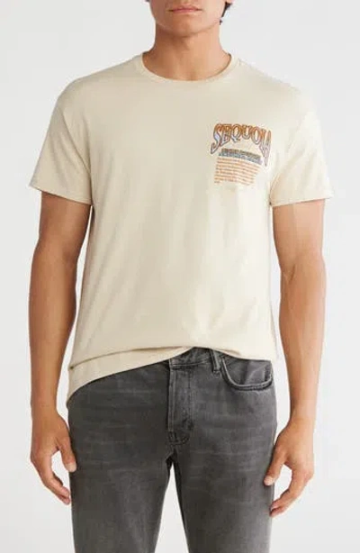 Alpha Collective Sequoia National Park Cotton Graphic T-shirt