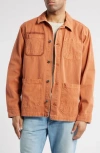 Alpha Industries Cotton Chore Coat In Orange