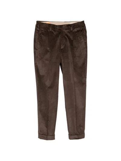 Alpha Industries Pleated Corduroy Trousers In Brown