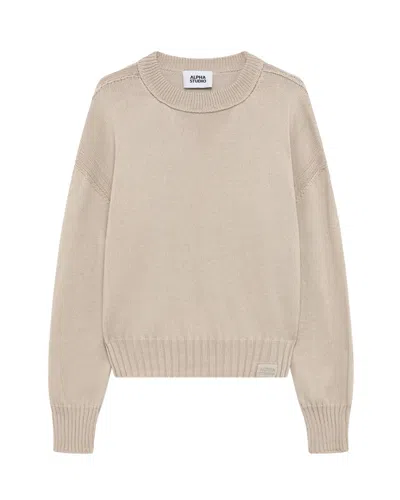 Alpha Studio Casual Stylish Sweater For Women In Brown