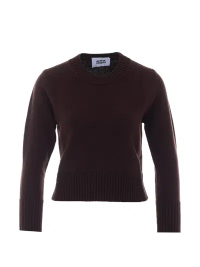 Alpha Studio Crew-neck Long-sleeve Sweater In Brown