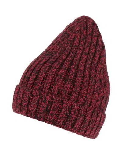 Alpha Studio Man Hat Red Size Onesize Wool In Burgundy