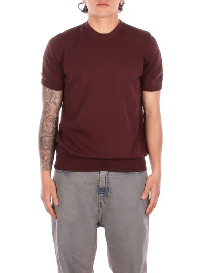 Alpha Studio Man Knitted Au5040c 1009 Round Neck M\m Chocolate In Burgundy