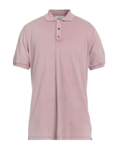 Alpha Studio Man Polo Shirt Antique Rose Size 44 Cotton In Pink