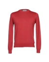Alpha Studio Man Sweater Garnet Size 42 Cotton In Red
