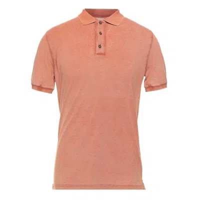 Alpha Studio Pink Cotton Polo Shirt In Neutral