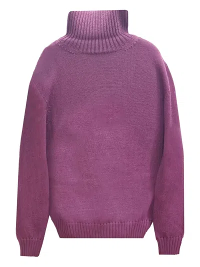Alpha Studio Turtleneck Ribbed Sweater In Purple