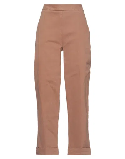 Alpha Studio Pants In Brown