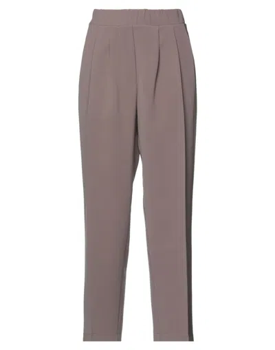 Alpha Studio Pants In Grey