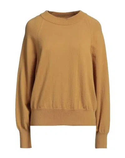 Alpha Studio Woman Sweater Mustard Size 10 Cashmere In Yellow
