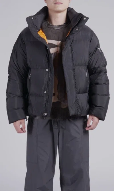 Alphastyle Leverett Cropped Down Puffer In Black
