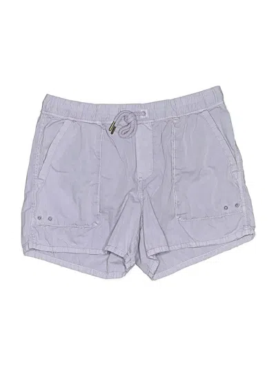 Pre-owned Alpine Design Shorts In Gray