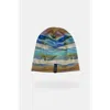 Alpine Fit Go All Winter Merino Wool Lined Hat In Multi
