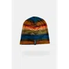 Alpine Fit Go All Winter Merino Wool Lined Hat In Multi