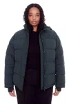 Alpine North Forillon Plus Size In Multi