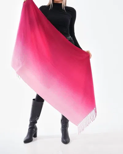 Alpo 1910 Cashmere Ombre Scarf In Pink