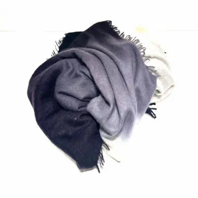 Alpo 1910 Women's Cashmere Ombre Scarf In Black