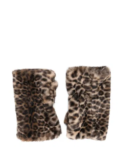 Alpo Leopard Print Gloves In Animal Print