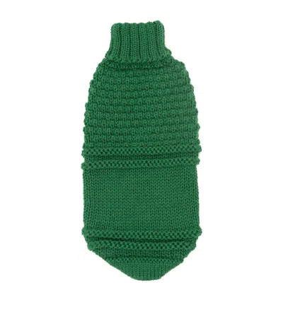Alqo Wasi Alpaca-blend Oscar Dog Sweater In Green