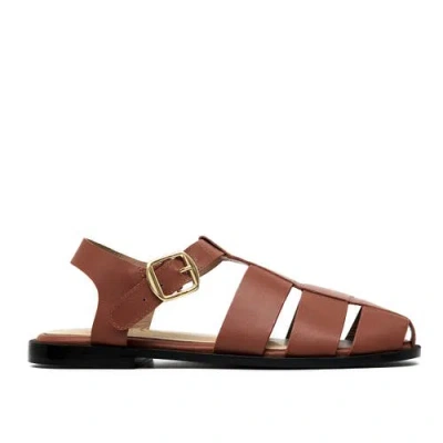Alta Cecilia Sandals In Brown