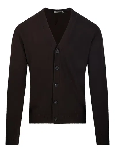 Altea Button-up V-neck Cardigan In Brown