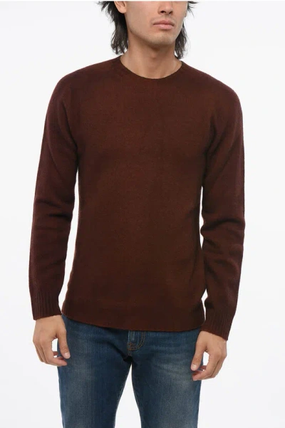 Altea Cashmere-blended Crewneck Sweater In Brown