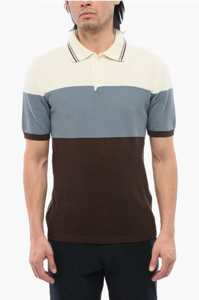 Altea Cotton Knit Color Block Polo