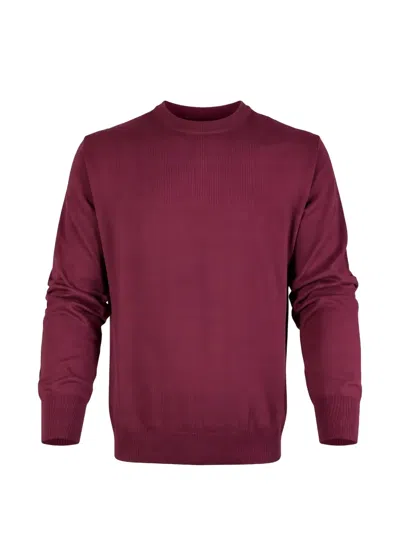 Altea Crew-neck Ribbed-trim Sweater In Purple