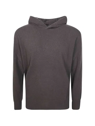 Altea Fine-knit Hoodie In Brown