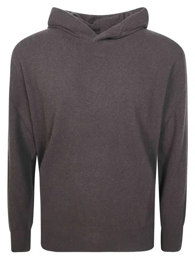 Altea Men's Distressed Hooded Sweater In Brown