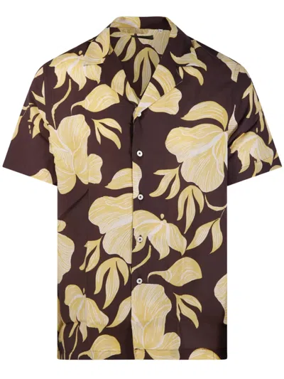 Altea Shirt In Brown