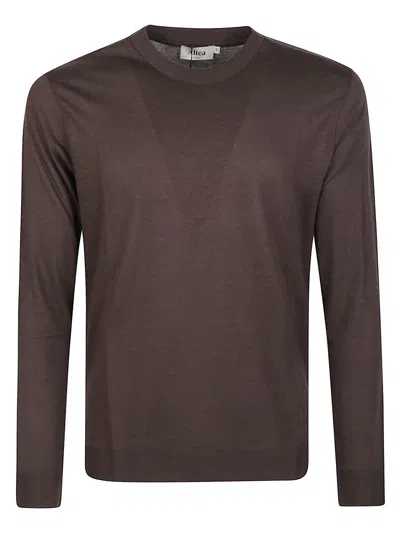 Altea Tshirt In Brown