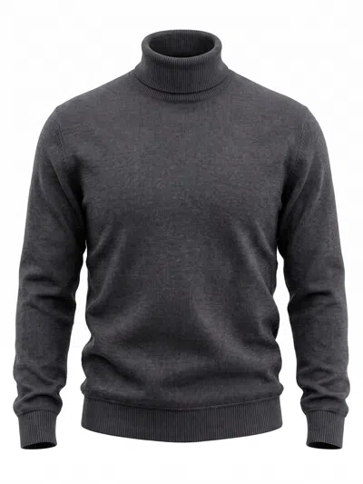 Altea Turtle Neck Sweater In Gray