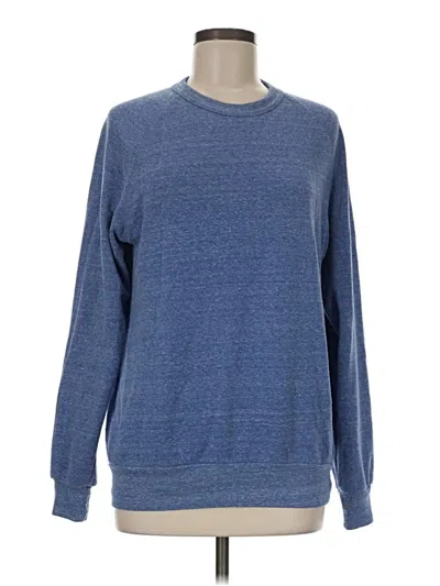 Pre-owned Alternative Pullover Sweater In Blue