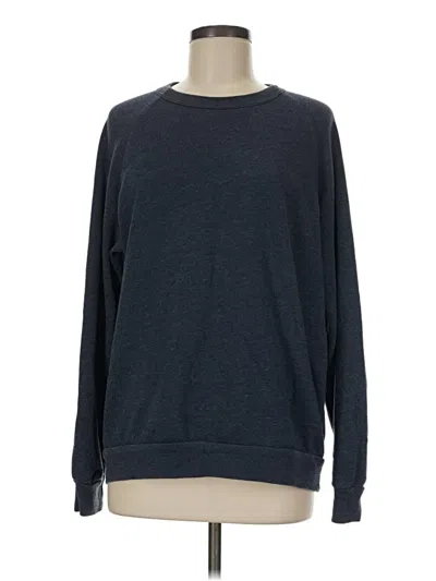 Pre-owned Alternative Pullover Sweater In Blue