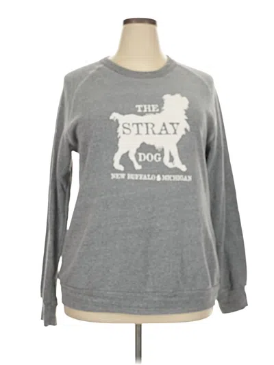 Pre-owned Alternative Sweatshirt In Gray