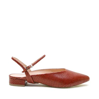 Alterre Women's Brown Snake Amal Point Slide