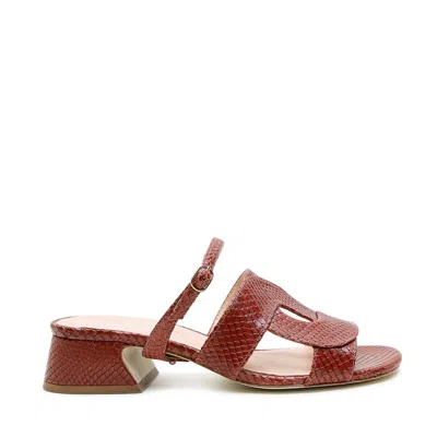 Alterre Women's Brown Snake Twiggy Loop Sandal