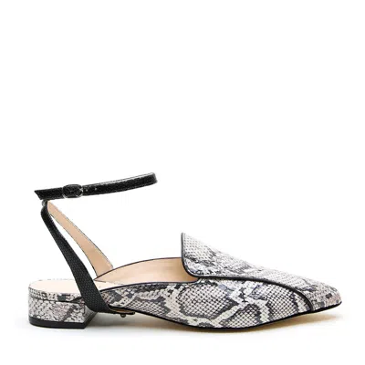 Alterre Women's Neutrals / Grey Python Marilyn Pointed Loafer Slide